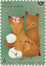 Živalstvo - Lisica - A
