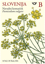 Rastlinstvo - navadni komarček